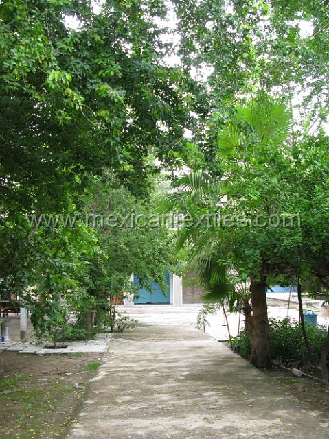 cozomatlan_nahua29.JPG - Not much to see , but welcome shade.