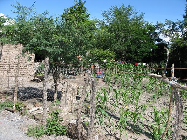 tecuiziapan_nahuatl21.JPG - A back yard garden.
