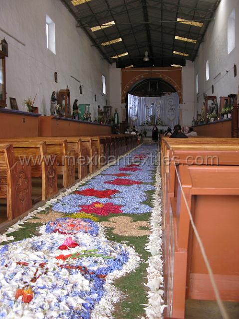 nahua_hueyapan_15.JPG - Im preperation for the festival a bed of flowers extends from the street into the church.