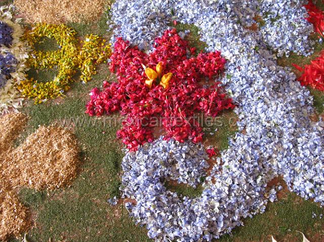 nahua_hueyapan_17.JPG - A close up of the path of flowers going to the alter.