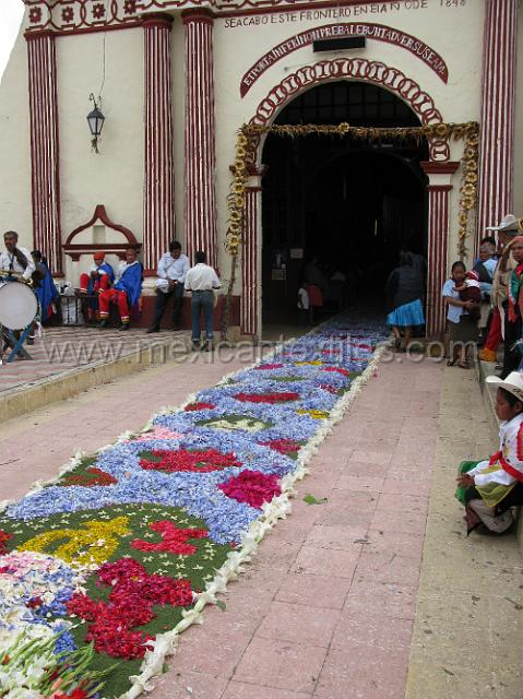 nahua_hueyapan_50.JPG - the carpet of flowers going into the church.