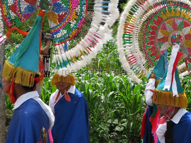 nahua_hueyapan_56.JPG - quetzal dancers