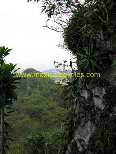 jonotla_sancturary_07