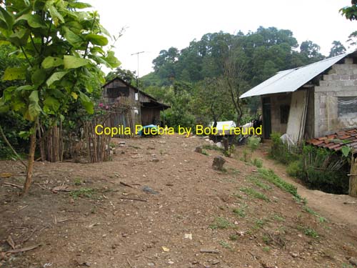 copila_04