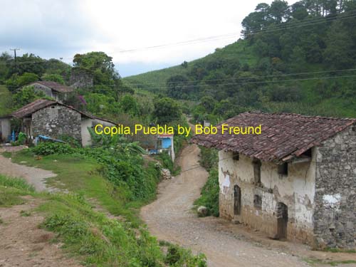 copila_town_03