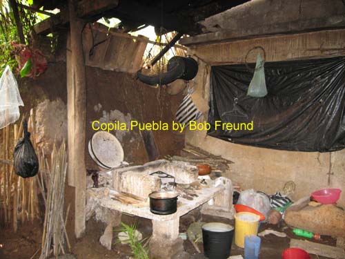 scenes_copila_01