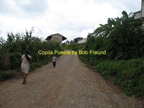 scenes_copila_03