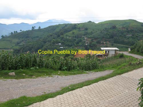 scenes_copila_08