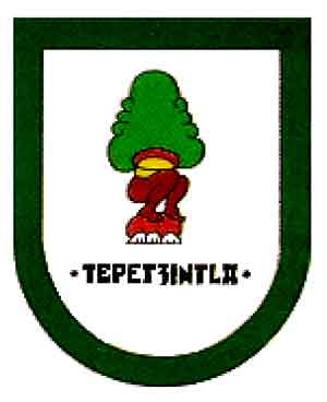 shield of tepetzintla