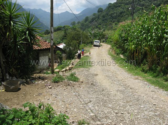 road_tonalisco_39.JPG - The road into town.
