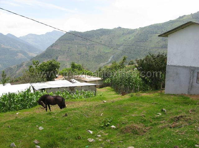 nahua_xiicalahuatla_07.JPG - Part of the village of Xicalahuatla, Tepetzintla, Puebla.