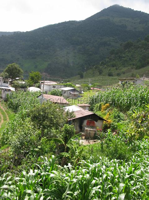 nahua_xiicalahuatla_31.JPG - The village of Xicalahuatla, Tepetzintla, Puebla .