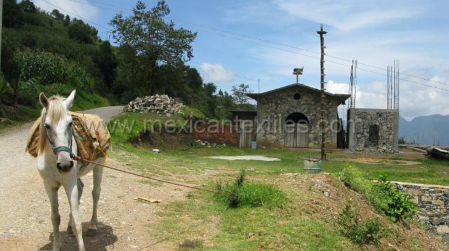 town_xiicalahuatla_01.JPG - The church with a small Palo in front of the church.