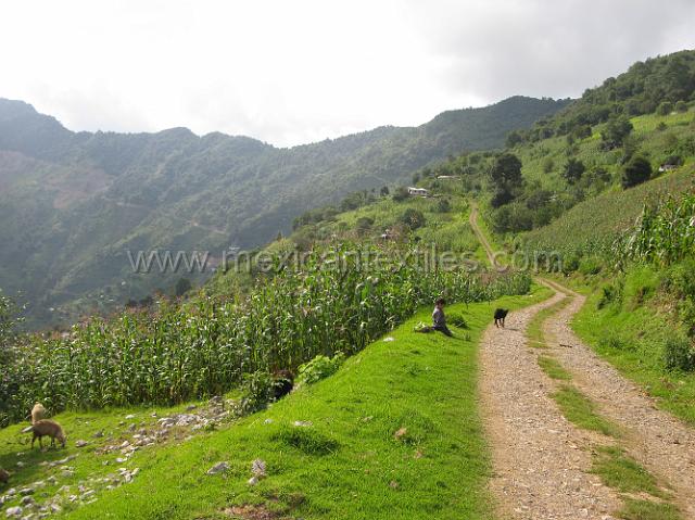 nahua_xochitlaxco_32.JPG - The road into town.