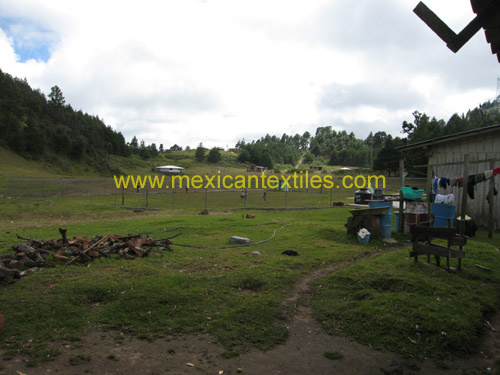 quezaltototl_town_01