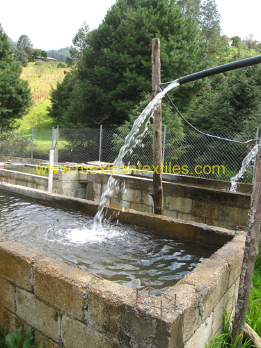 tonalixco_xoxocotla_04