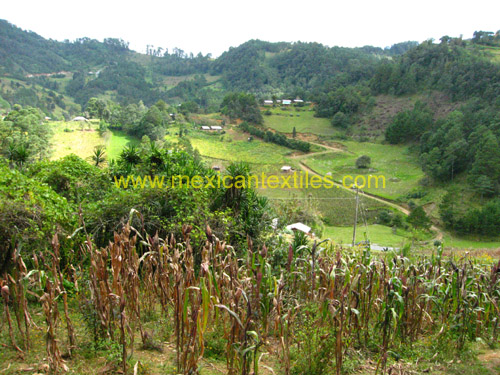 tonalixco_xoxocotla_08