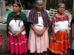 alahuatitla_nahua1