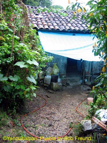 1_yancuitlalpan_house