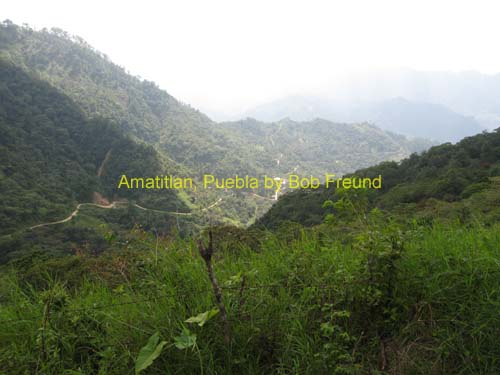 amatitlan_view_02