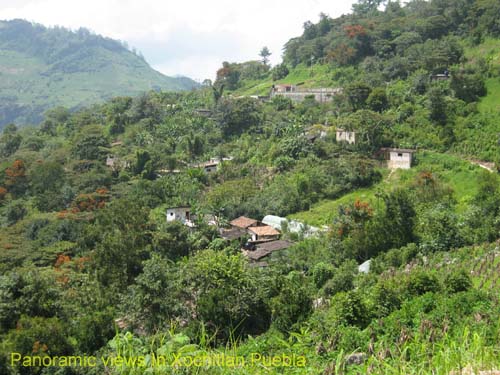 Eco_tourism_03