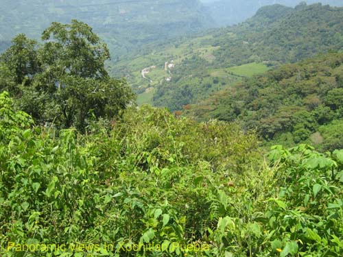Eco_tourism_04