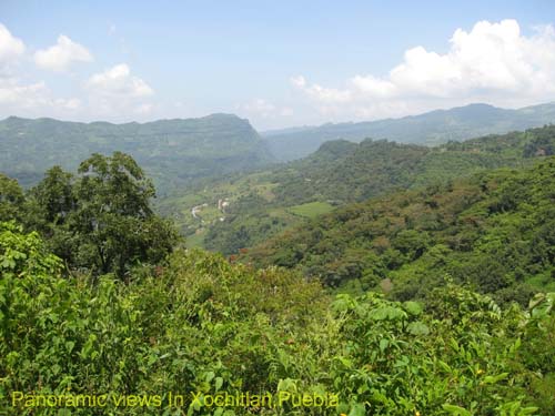 Eco_tourism_06