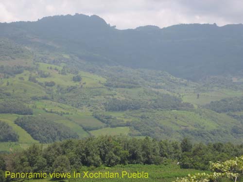 Eco_tourism_10