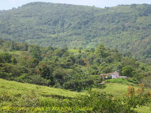 Eco_tourism_14