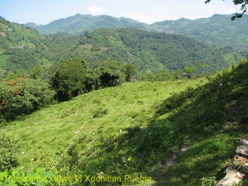 Eco_tourism_15