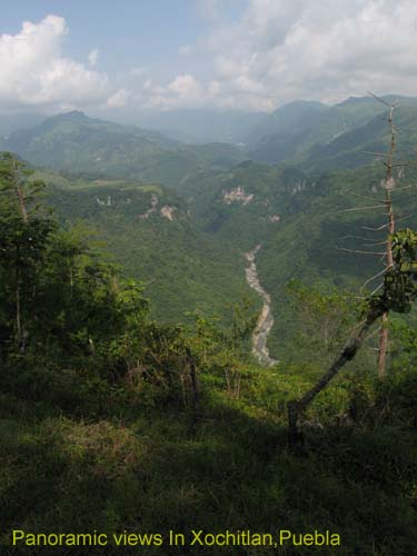 green_spring_04