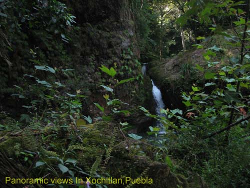 green_spring_05