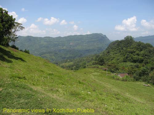 green_spring_07