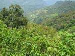 Eco_tourism_04