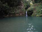 green_spring_01
