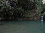 green_spring_02