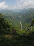 green_spring_04