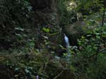 green_spring_05