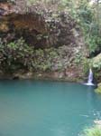 green_spring_06