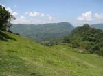 green_spring_07