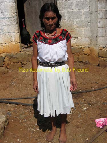 tzontecomate_nahua_04