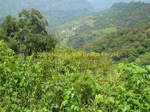 xicalxochico_town_01