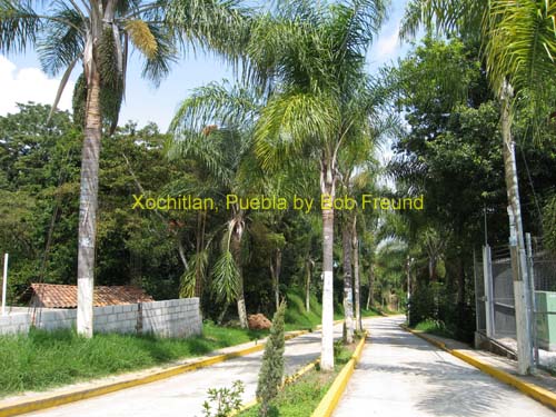 1xochitlan_town_01