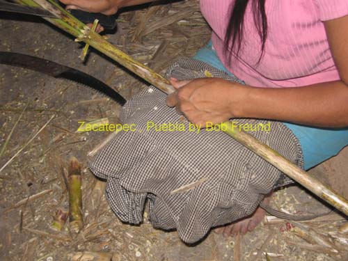 1zacatepec_baskets_04