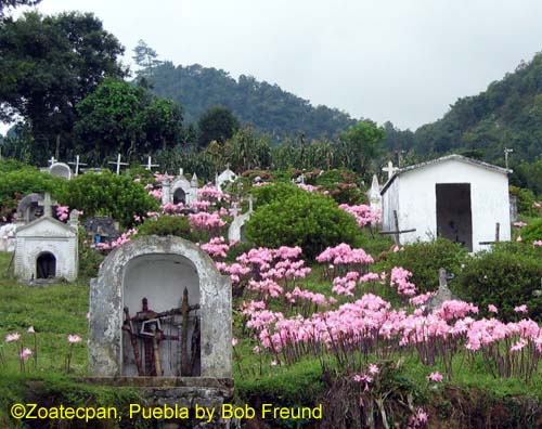 zoatecpan_a