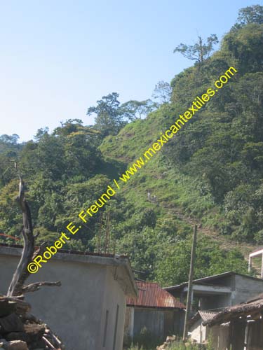 snAmbrosio_hidalgo_04