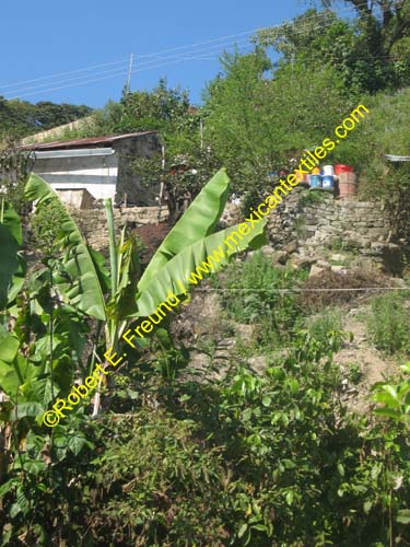 snAmbrosio_hidalgo_05