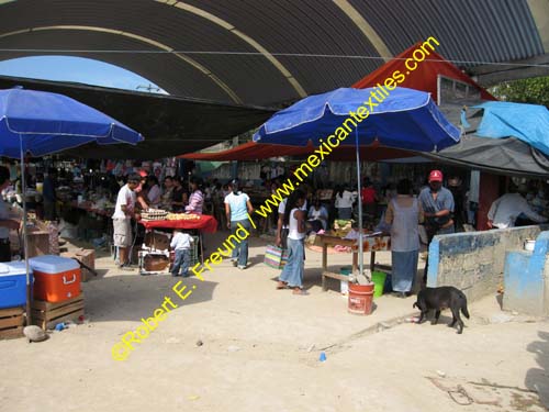 snAntonio_huehuetla_07