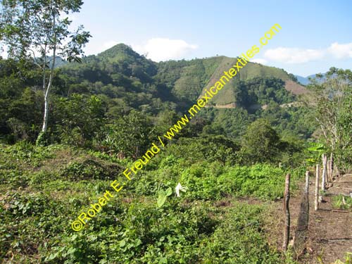 tortuga_otomi_09