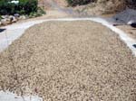 coffee_drying